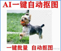 AI智能抠图软件